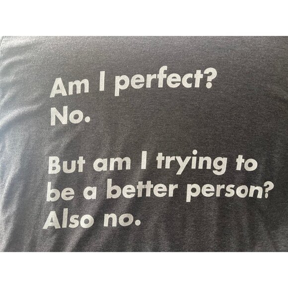 Funny Shirt - Gray - XL - Picture 2 of 4